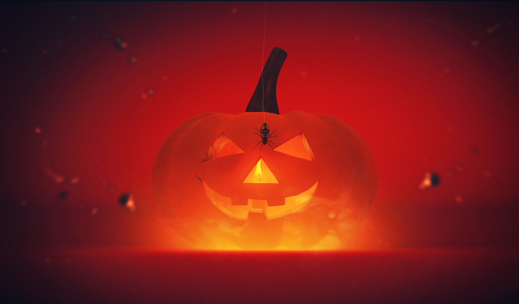 Паук на тыкве