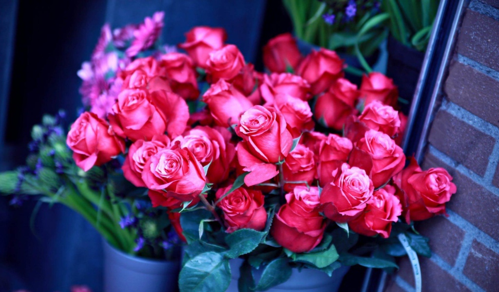 Красивые букеты из роз девушкам на восьмое марта