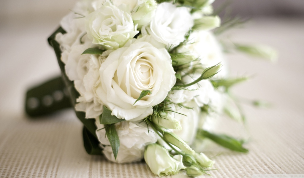 Красивые белые розы в подарок женщинам на восьмое марта