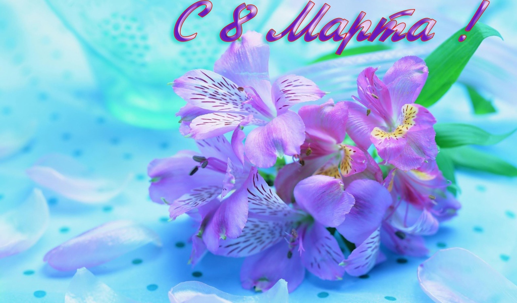 Сиреневые цветы на 8 марта