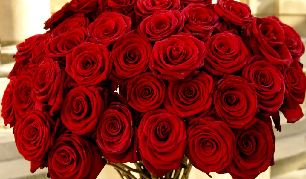 Нарядный букет красных роз на 8 марта