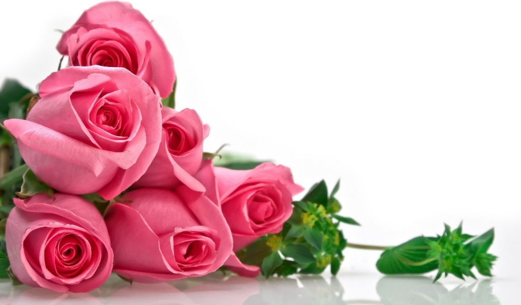 Розовые розы на 8 марта