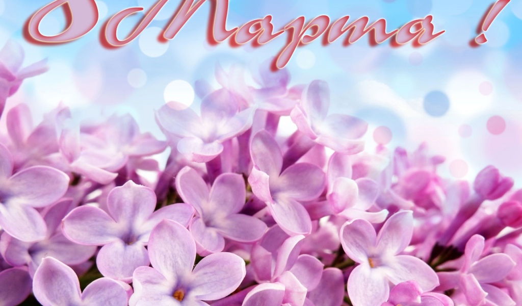 Первоцвет на 8 марта