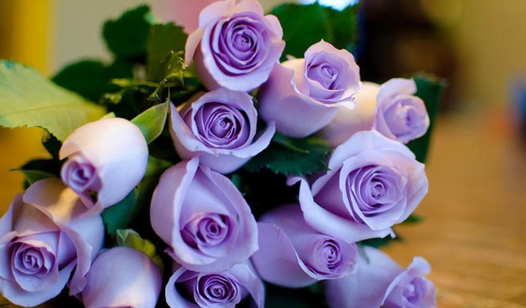 Фиолетовые розы в букете на восьмое марта