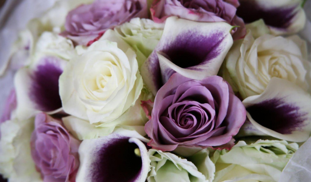 Фиолетовые розы в красивом букете на восьмое марта