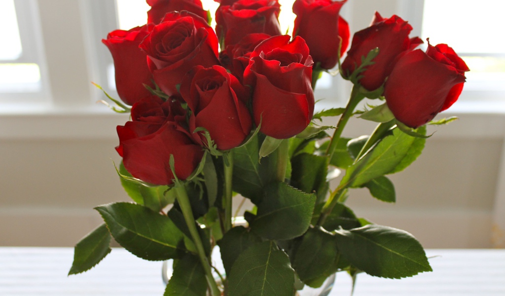 Красные розы на 8 марта