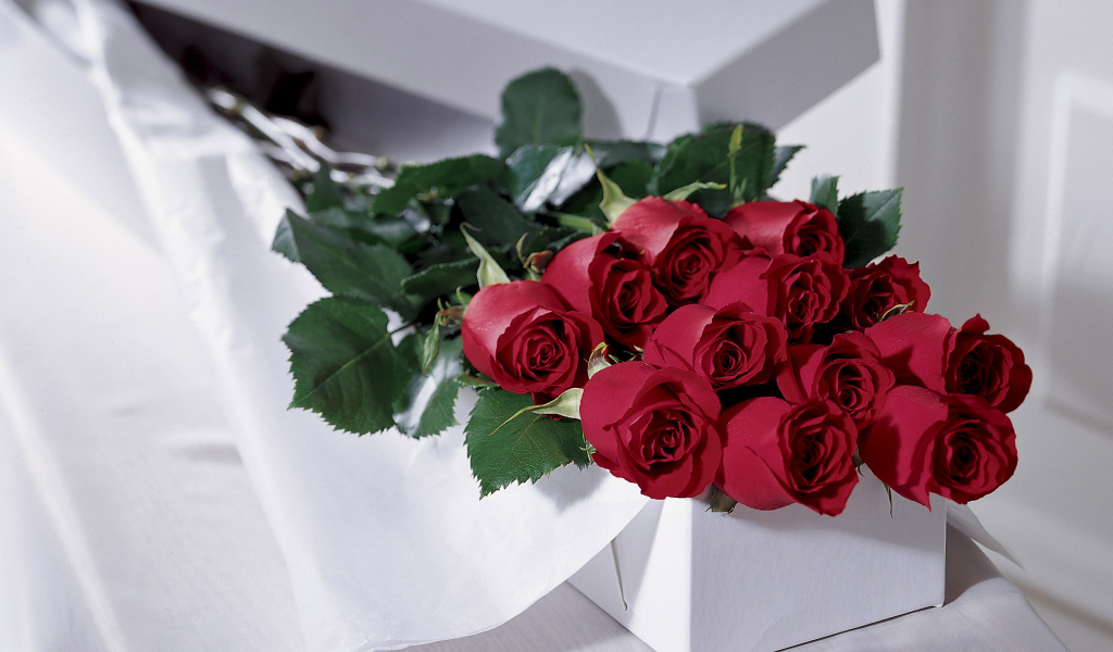 Красные розы на 8 марта в белой коробке