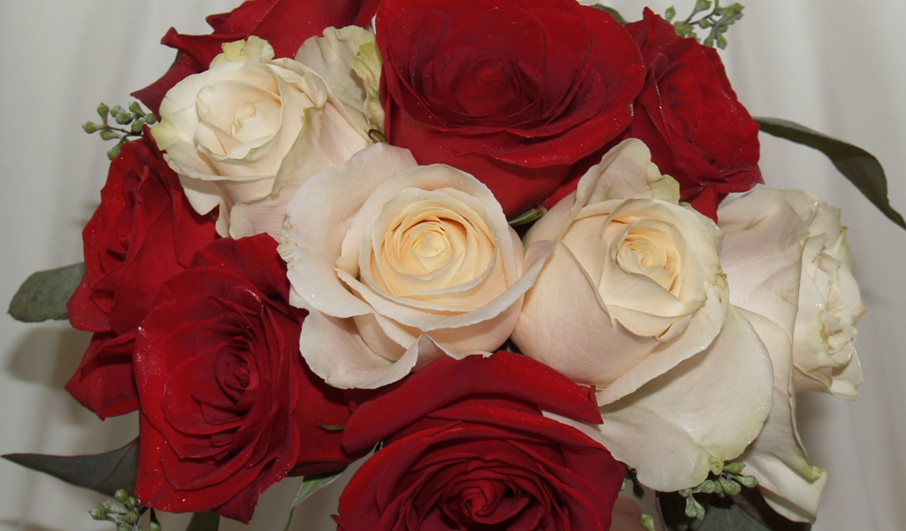 Красные розы на 8 марта с белыми розами
