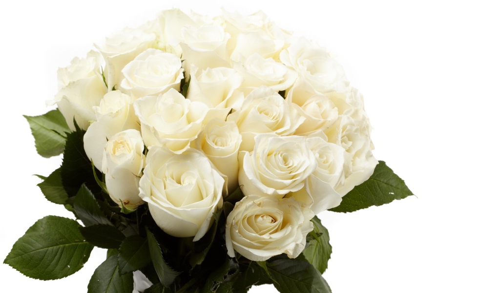 Белые розы в букете в подарок на восьмое марта