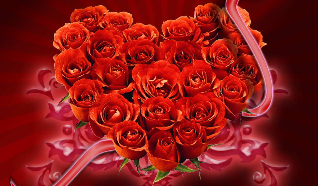 Букет красных роз на День Святого Валентина