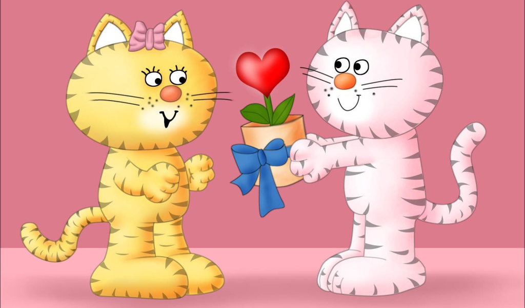 Кошачья любовь на День Святого Валентина 14 февраля