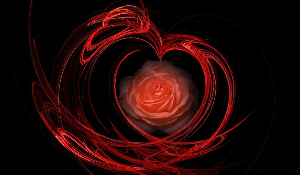 Огненная роза на День Святого Валентина 14 февраля