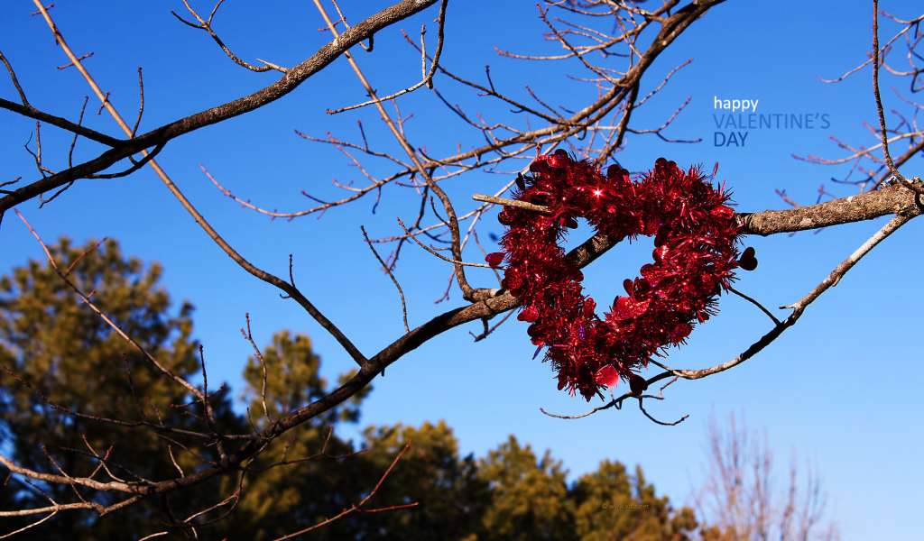 Сердце на ветках на День Святого Валентина 14 февраля