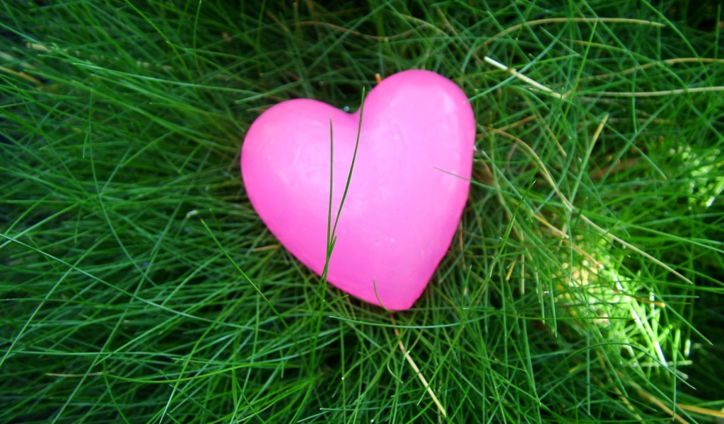 Розовое сердечко на траве