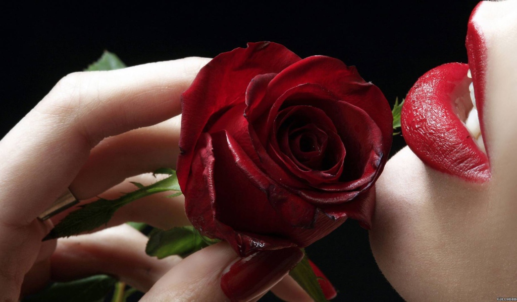 Роза у губ на День Святого Валентина 14 февраля