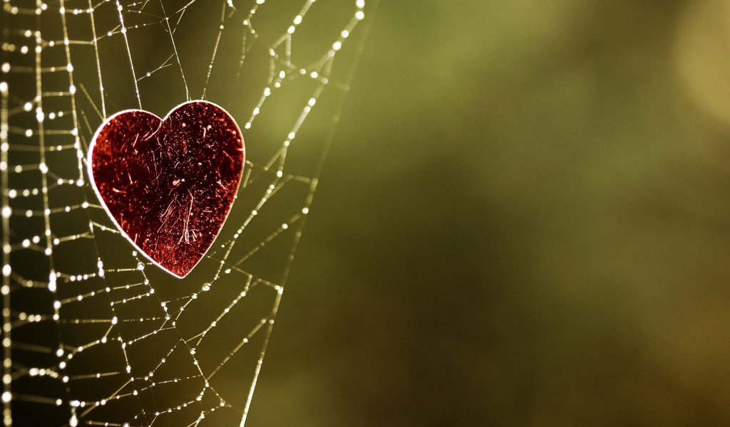 Сердечко на паутине
