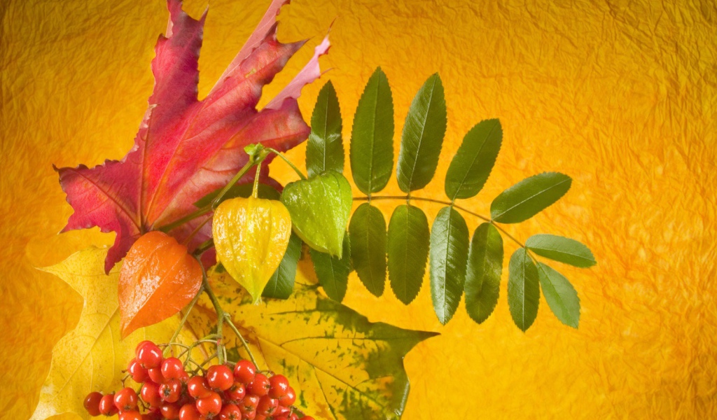 Осенний букет в День знаний 1 сентября