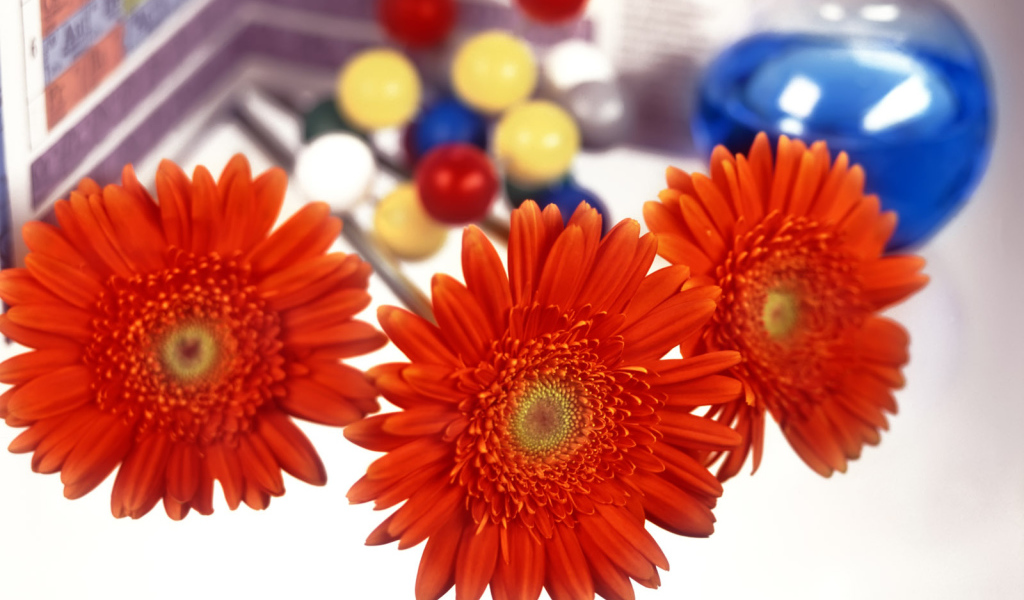 Снова в школу День знаний 1 сентября