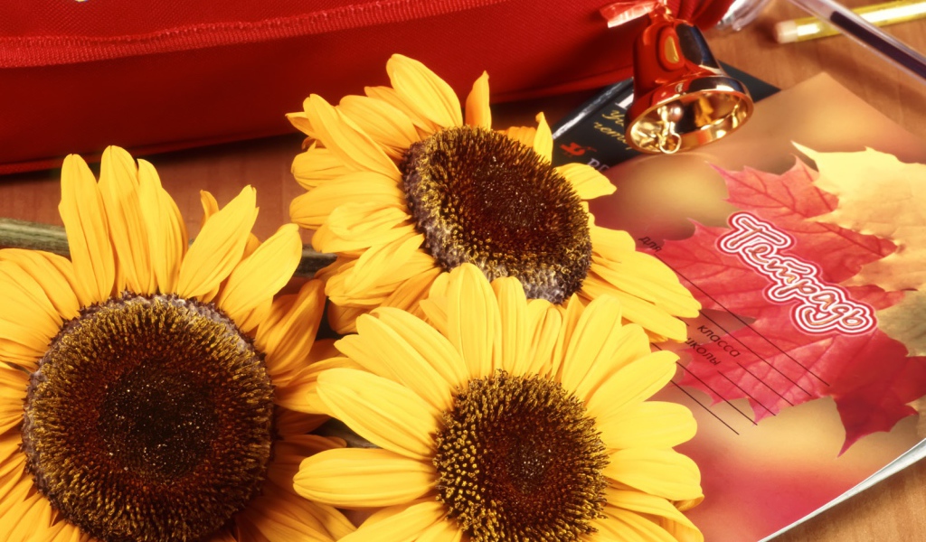 Букет подсолнухов в День знаний 1 сентября