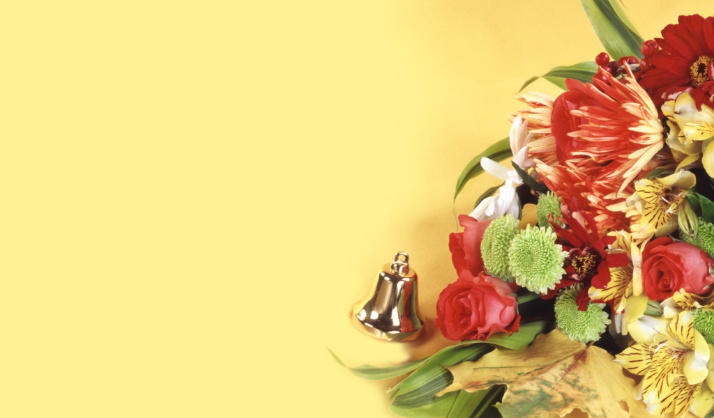 Красивые обои в День знаний 1 сентября