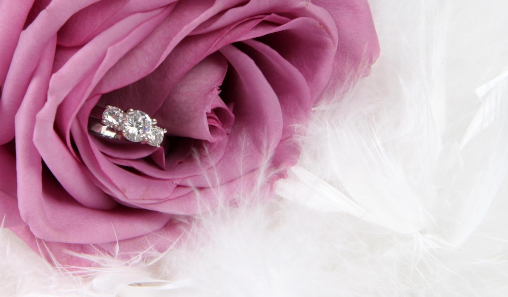 Фиолетовая роза и кольцо, предложение руки и сердца