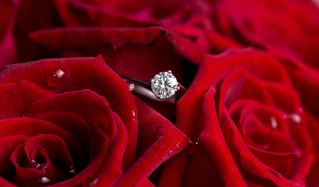 Красные розы и кольцо, предложение руки и сердца