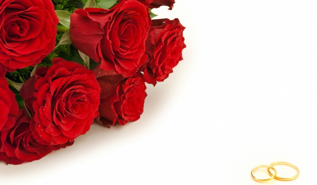 Красные розы и золотые свадебные кольца