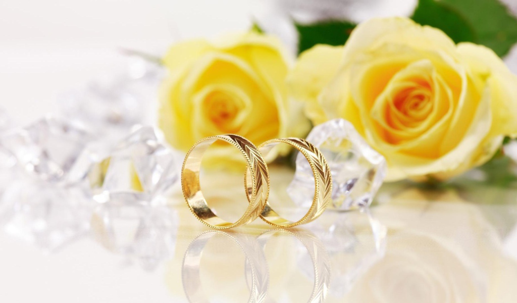 Yellow roses and gold wedding rings