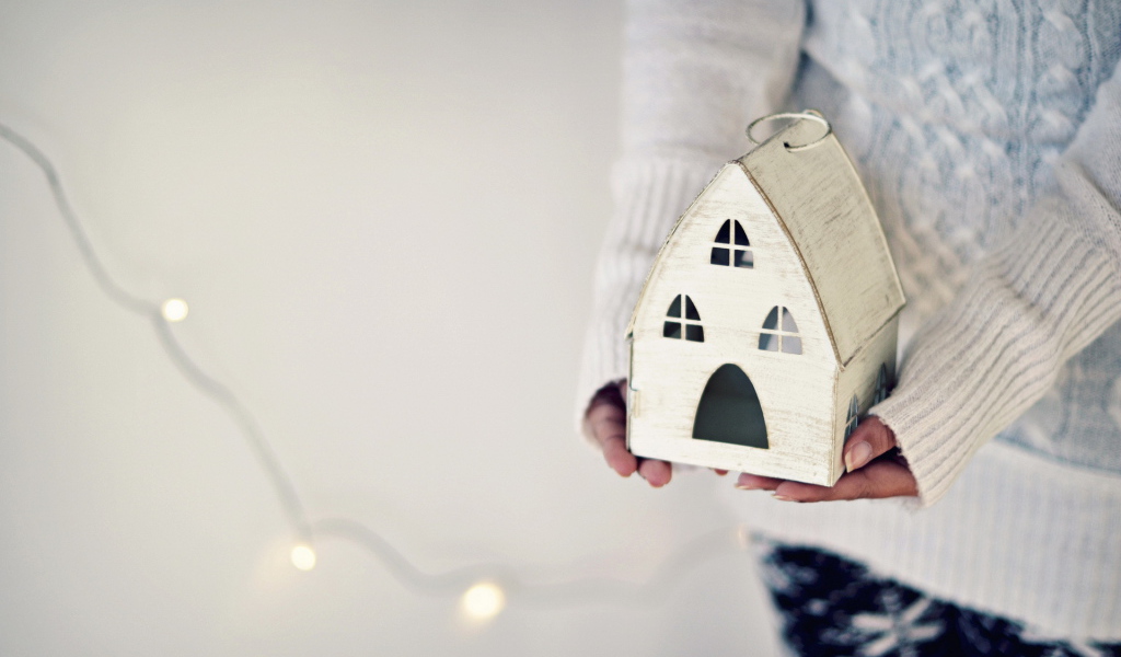 Игрушка дом в руках
