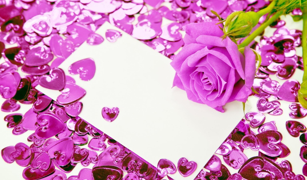 Фиолетовая роза и сердечки
