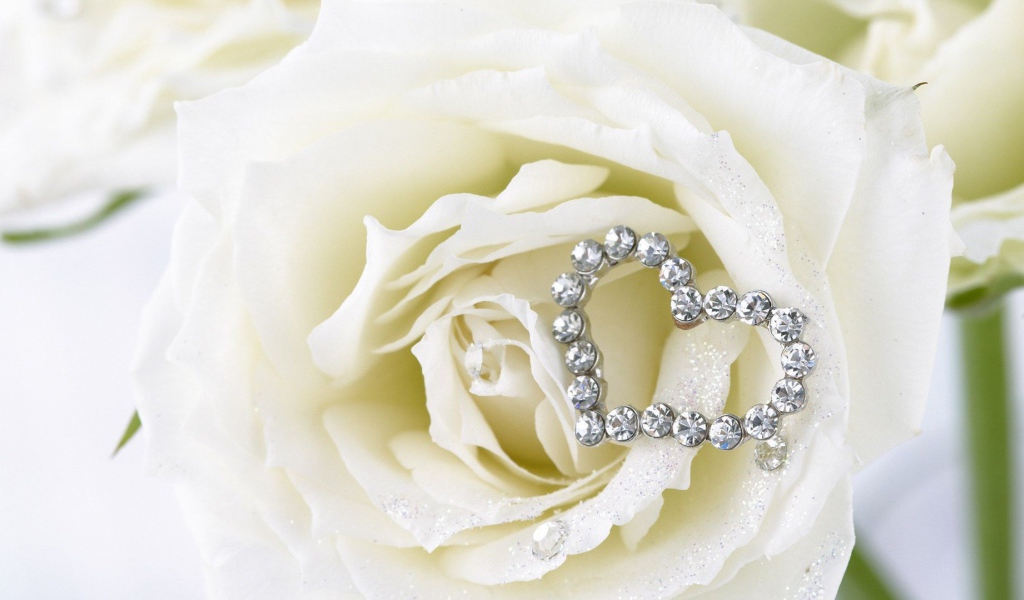 Белые розы и сердце из белых драгоценных камней