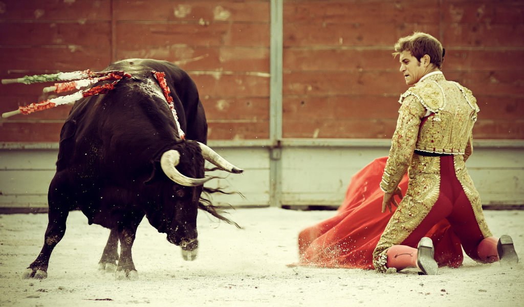 Бык и торреодор