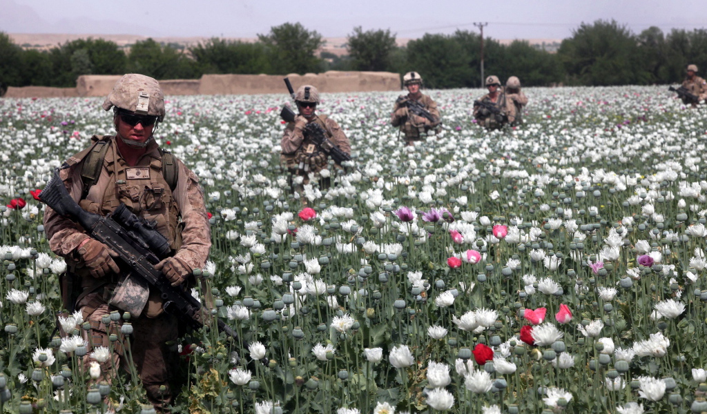 Солдаты на маковом поле