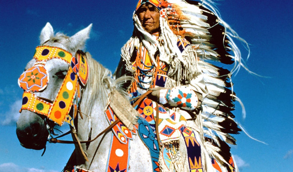 Вождь племени индейцев