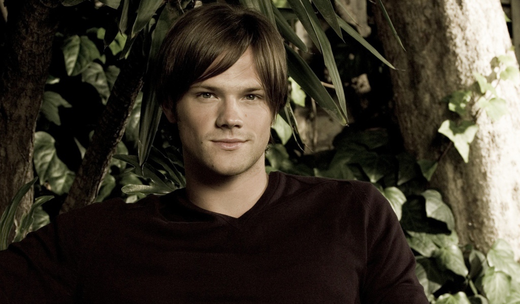 Возлюбленный Актер Джаред Падалеки