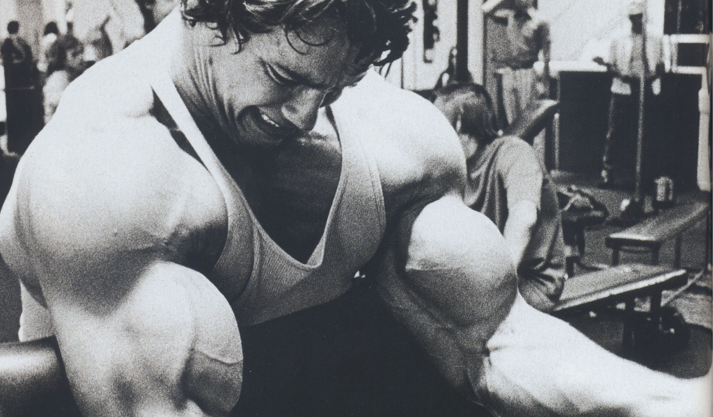 Бицепсы Арнольда