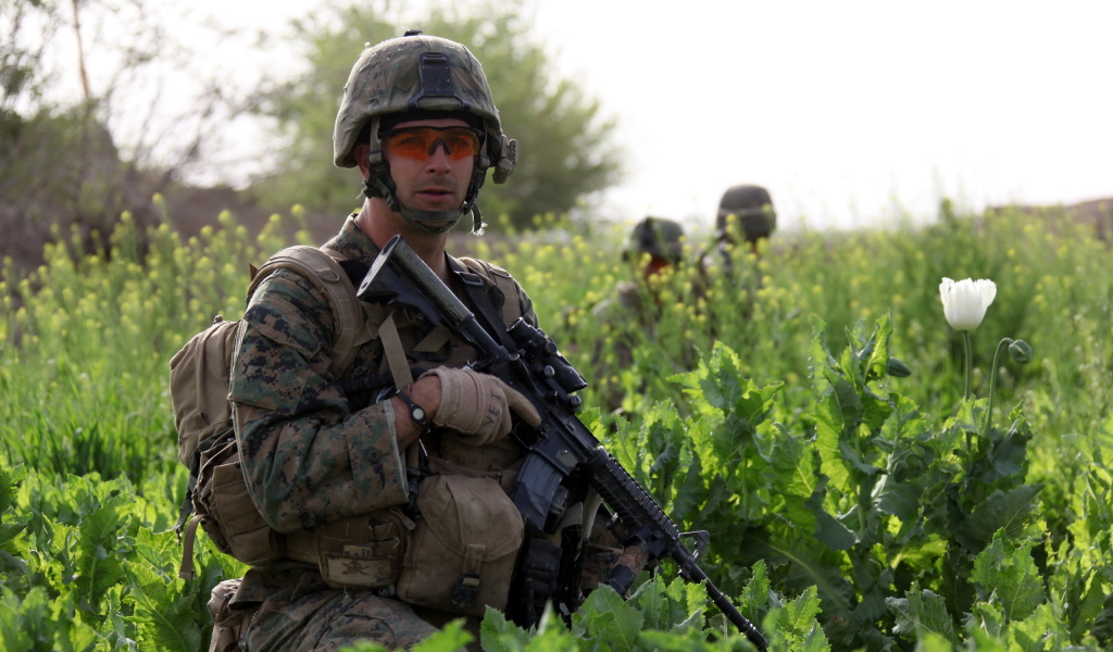 Солдат с винтовкой в траве