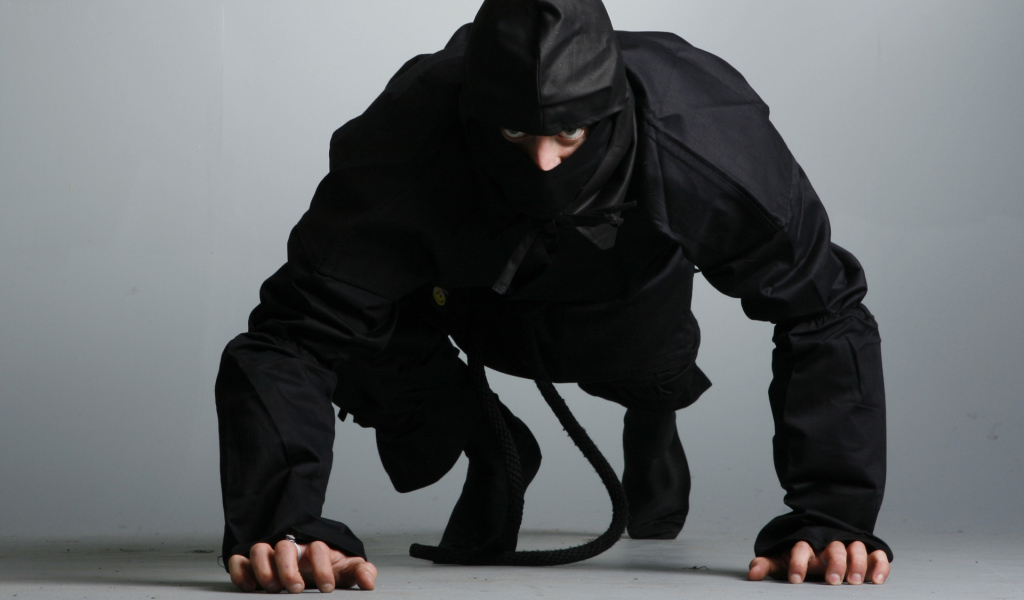 Ниндзя в боевой стойке