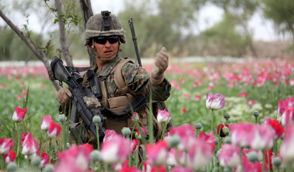 Солдат в розовых тюльпанах