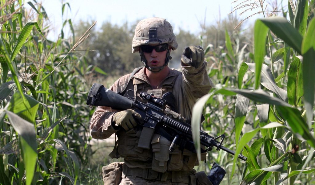 Солдат на кукурузном поле