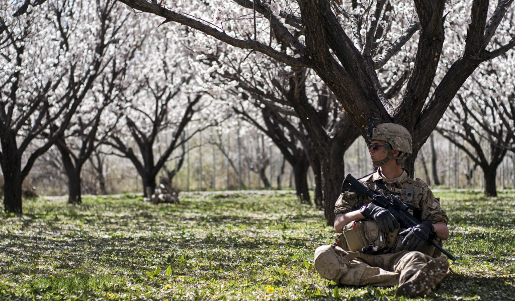 Солдат в цветущем саду
