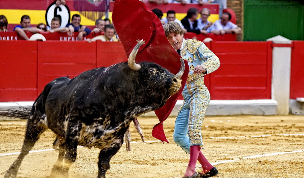 Испанский торреодор