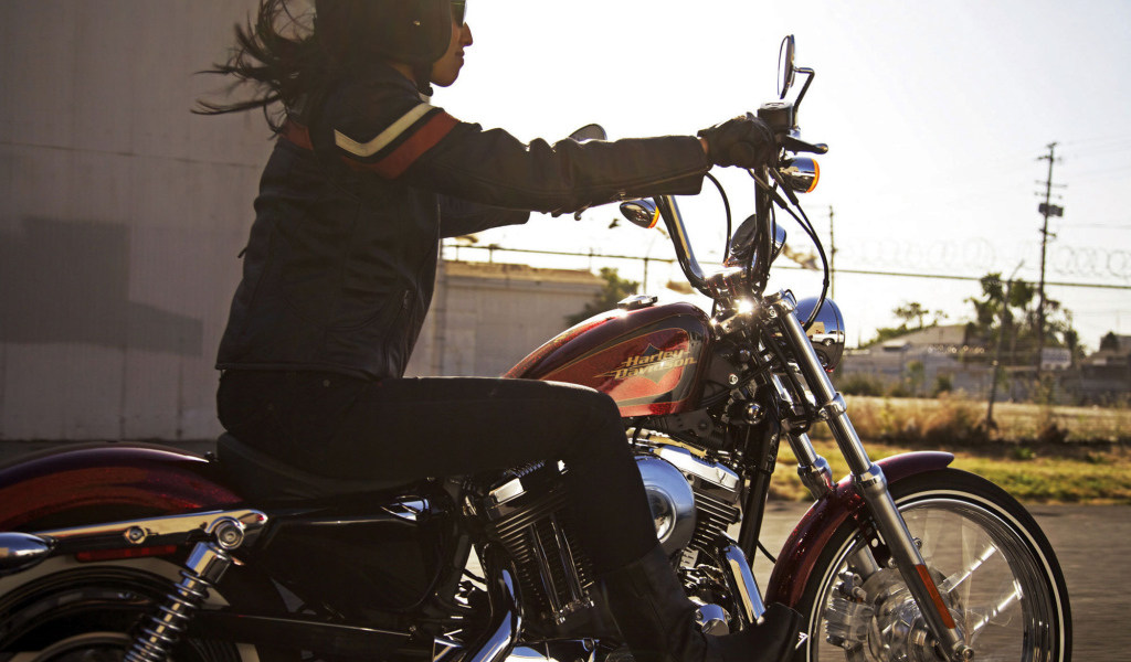 Красивый мотоцикл Harley-Davidson XL 1200V Sportster Seventy-Two