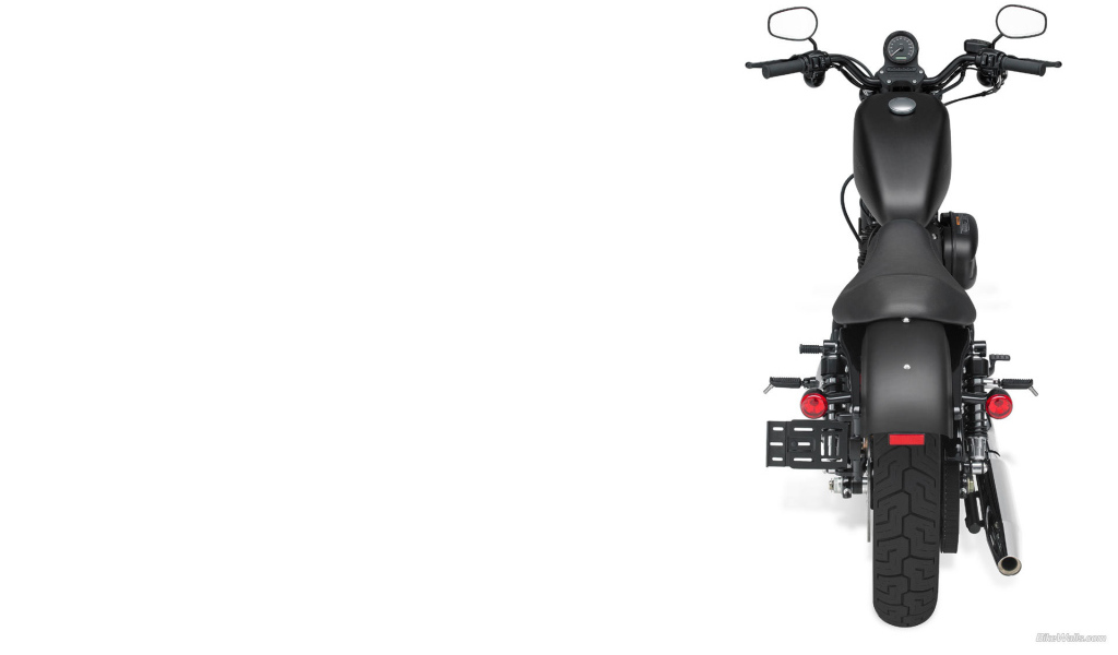 Красивый мотоцикл Harley-Davidson XL 883N Sportster Iron