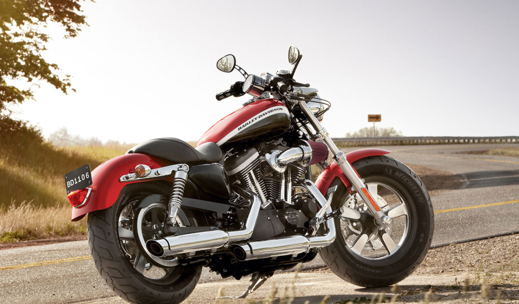 Красивый мотоцикл в москве Harley-Davidson XL 1200C Sportster Custom