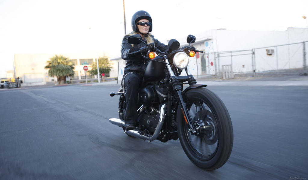 Красивый мотоцикл в москве Harley-Davidson XL 883N Sportster Iron