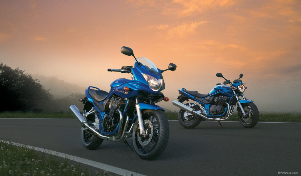 Быстрый мотоцикл Suzuki GSF 650