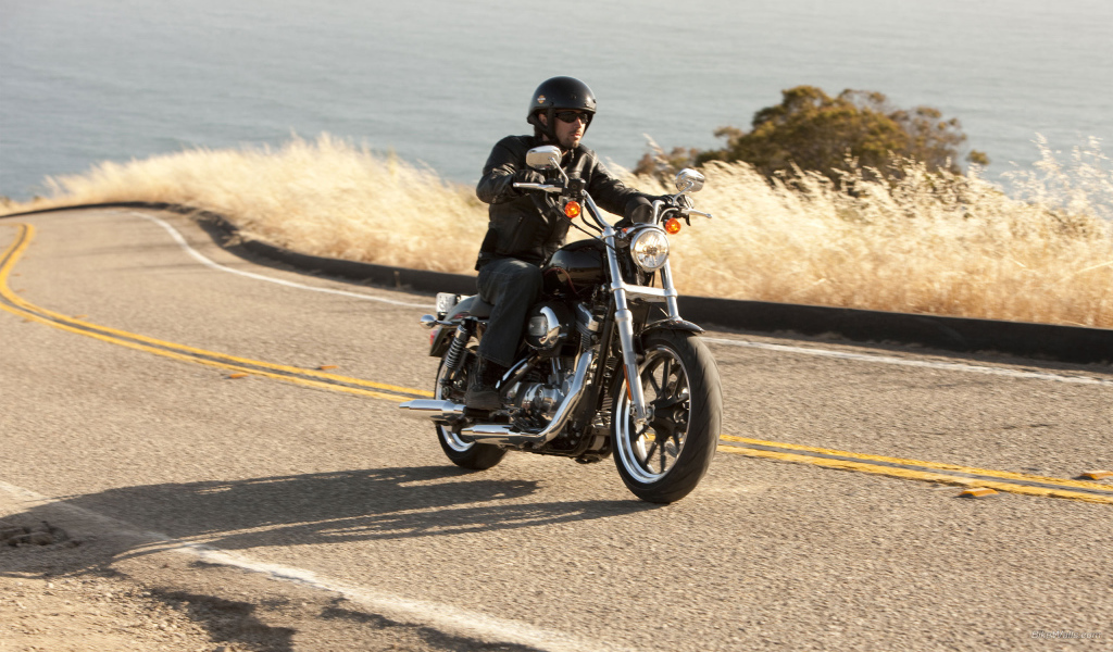 Невероятный мотоцикл Harley-Davidson XL 883L Sportster