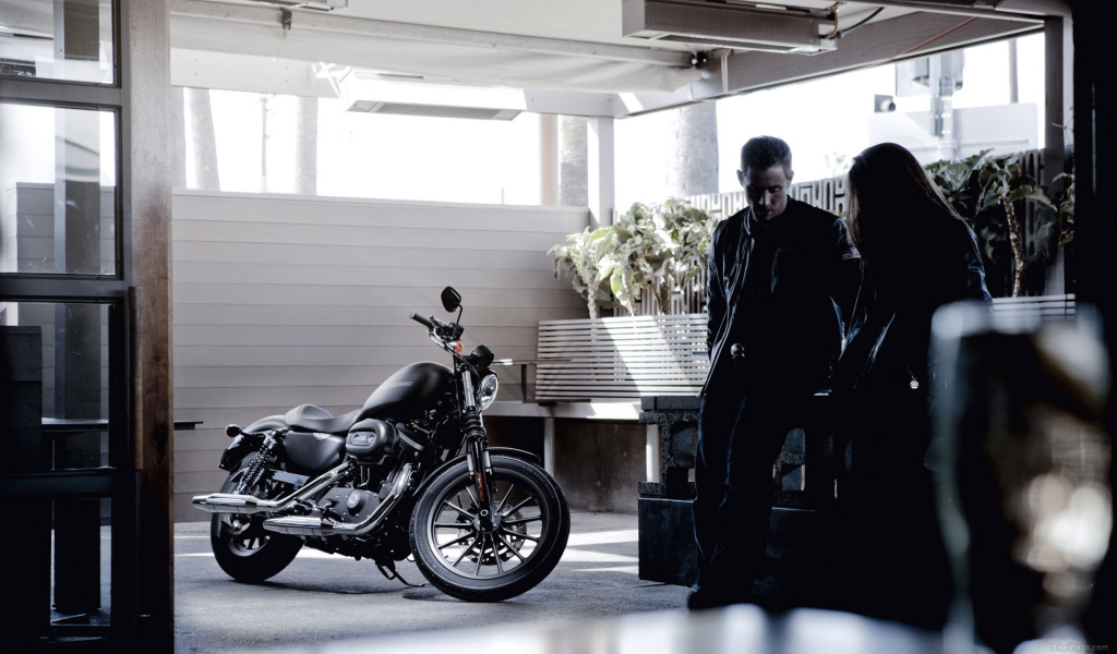 Невероятный мотоцикл Harley-Davidson XL 883N Sportster Iron