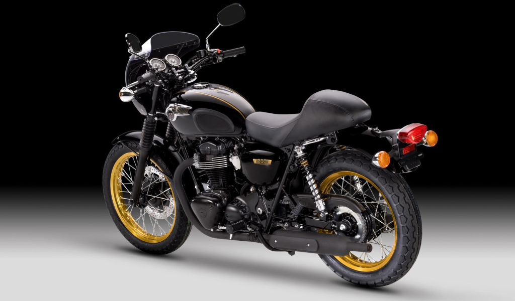 Невероятный мотоцикл Kawasaki W 800